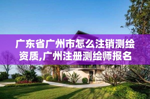 廣東省廣州市怎么注銷測繪資質,廣州注冊測繪師報名時間