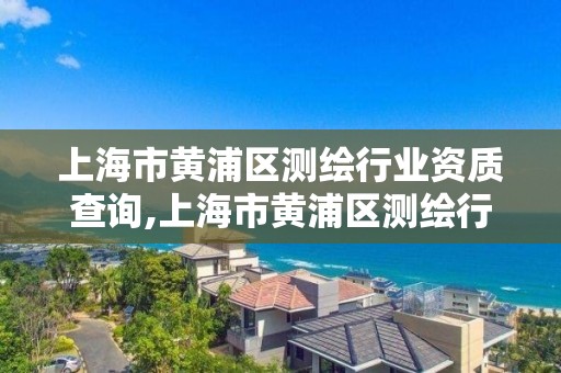 上海市黃浦區測繪行業資質查詢,上海市黃浦區測繪行業資質查詢網