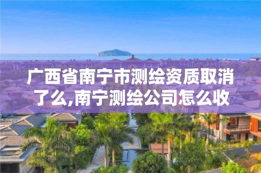 廣西省南寧市測繪資質取消了么,南寧測繪公司怎么收費標準