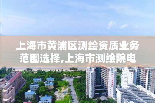 上海市黃浦區測繪資質業務范圍選擇,上海市測繪院電話。