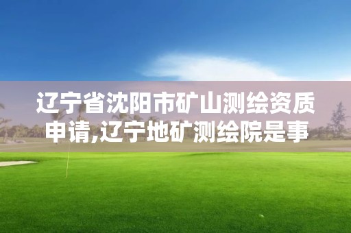 遼寧省沈陽市礦山測繪資質(zhì)申請,遼寧地礦測繪院是事業(yè)單位嗎