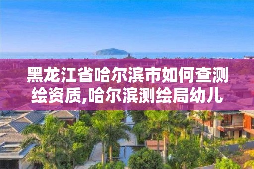 黑龍江省哈爾濱市如何查測繪資質,哈爾濱測繪局幼兒園是民辦還是公辦