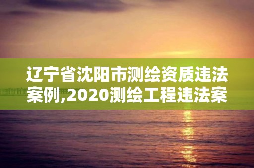 遼寧省沈陽市測繪資質違法案例,2020測繪工程違法案例