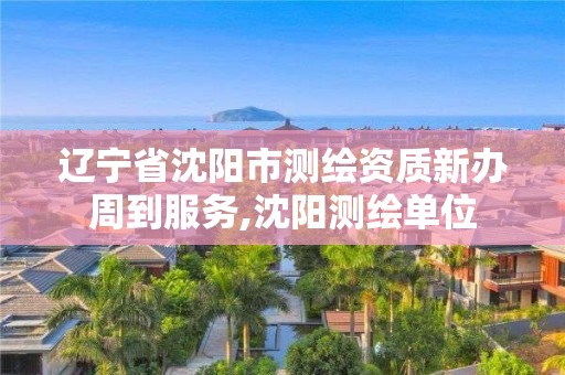 遼寧省沈陽市測繪資質新辦周到服務,沈陽測繪單位