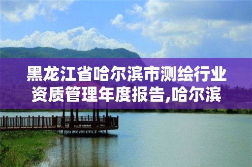 黑龍江省哈爾濱市測繪行業資質管理年度報告,哈爾濱市測繪院。