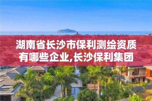 湖南省長沙市保利測繪資質有哪些企業,長沙保利集團招聘