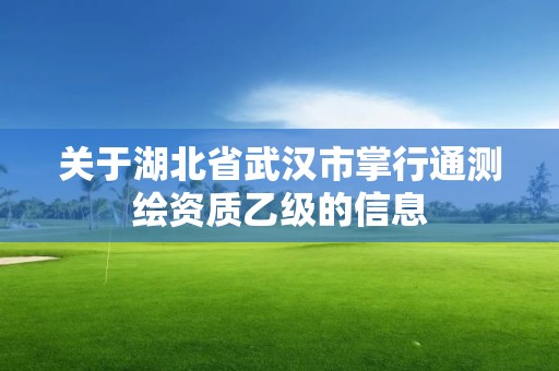 關于湖北省武漢市掌行通測繪資質乙級的信息