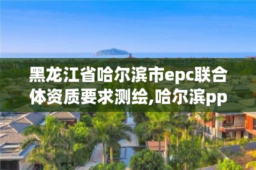 黑龍江省哈爾濱市epc聯合體資質要求測繪,哈爾濱ppp項目。