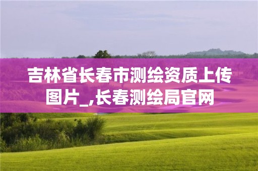 吉林省長春市測繪資質上傳圖片_,長春測繪局官網