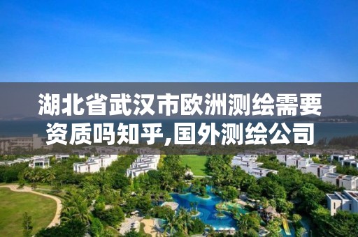 湖北省武漢市歐洲測繪需要資質嗎知乎,國外測繪公司。