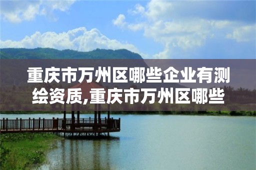 重慶市萬州區哪些企業有測繪資質,重慶市萬州區哪些企業有測繪資質的公司