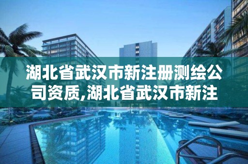 湖北省武漢市新注冊測繪公司資質(zhì),湖北省武漢市新注冊測繪公司資質(zhì)有哪些