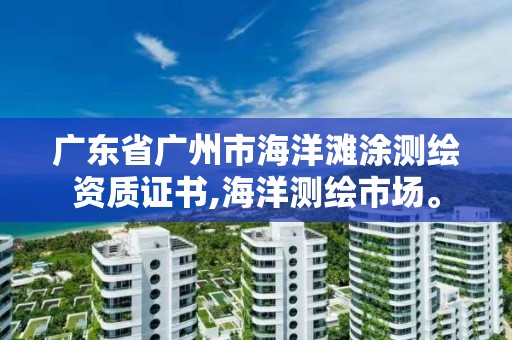 廣東省廣州市海洋灘涂測繪資質證書,海洋測繪市場。