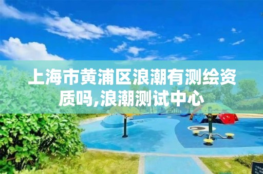 上海市黃浦區浪潮有測繪資質嗎,浪潮測試中心