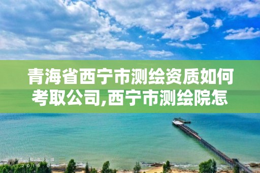 青海省西寧市測繪資質如何考取公司,西寧市測繪院怎么樣