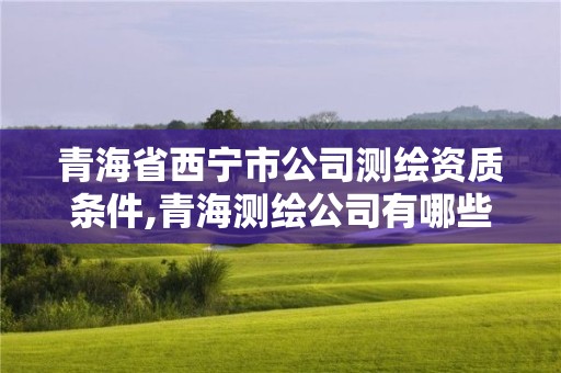 青海省西寧市公司測繪資質條件,青海測繪公司有哪些