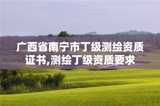 廣西省南寧市丁級測繪資質證書,測繪丁級資質要求