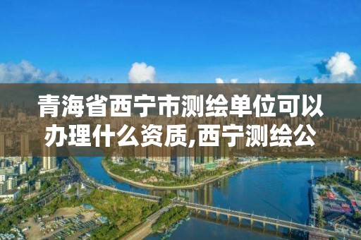 青海省西寧市測繪單位可以辦理什么資質(zhì),西寧測繪公司。