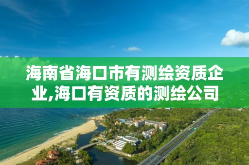 海南省海口市有測繪資質企業,海口有資質的測繪公司