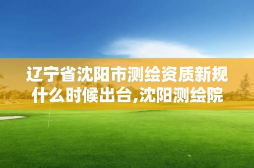 遼寧省沈陽市測繪資質(zhì)新規(guī)什么時候出臺,沈陽測繪院電話。