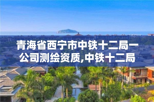 青海省西寧市中鐵十二局一公司測(cè)繪資質(zhì),中鐵十二局集團(tuán)有限公司計(jì)量測(cè)試中心。