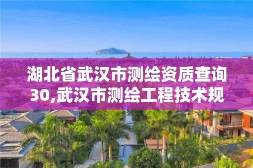 湖北省武漢市測繪資質查詢30,武漢市測繪工程技術規定