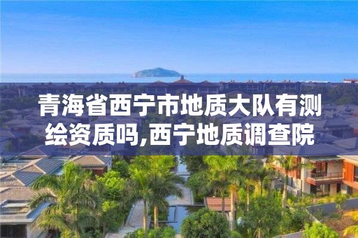 青海省西寧市地質大隊有測繪資質嗎,西寧地質調查院