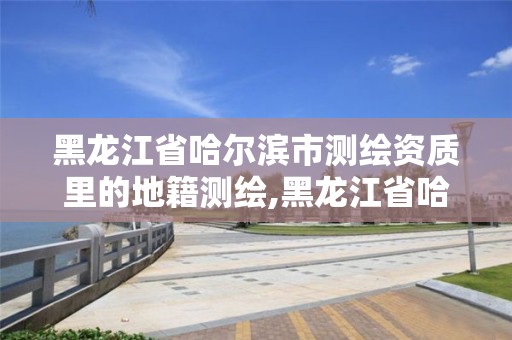 黑龍江省哈爾濱市測繪資質里的地籍測繪,黑龍江省哈爾濱市測繪局