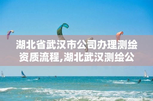 湖北省武漢市公司辦理測繪資質(zhì)流程,湖北武漢測繪公司排行榜