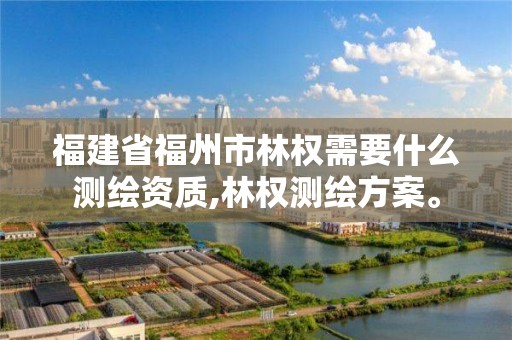 福建省福州市林權需要什么測繪資質,林權測繪方案。