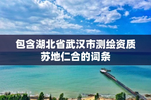 包含湖北省武漢市測繪資質(zhì)蘇地仁合的詞條