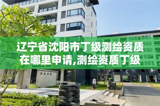 遼寧省沈陽市丁級測繪資質在哪里申請,測繪資質丁級是什么意思