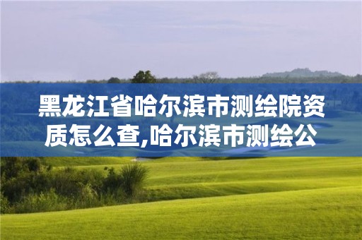 黑龍江省哈爾濱市測繪院資質怎么查,哈爾濱市測繪公司