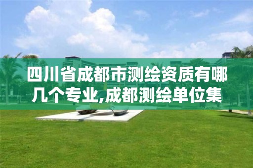 四川省成都市測繪資質有哪幾個專業,成都測繪單位集中在哪些地方。