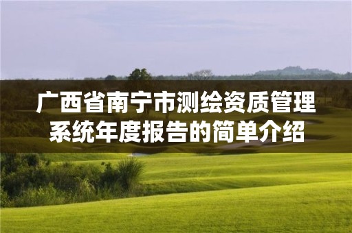 廣西省南寧市測繪資質管理系統年度報告的簡單介紹