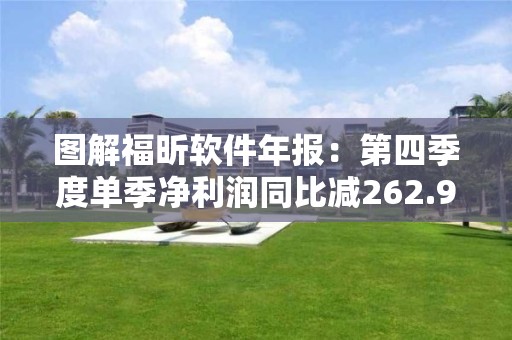 圖解福昕軟件年報：第四季度單季凈利潤同比減262.90%