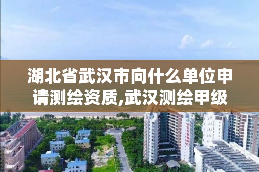 湖北省武漢市向什么單位申請測繪資質,武漢測繪甲級資質公司