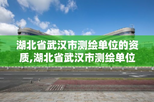 湖北省武漢市測繪單位的資質,湖北省武漢市測繪單位的資質有哪些