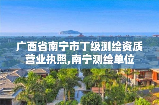 廣西省南寧市丁級測繪資質營業執照,南寧測繪單位