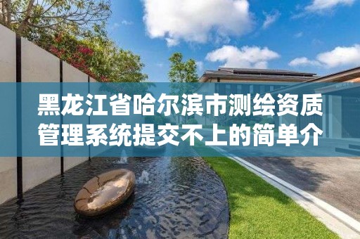 黑龍江省哈爾濱市測繪資質管理系統提交不上的簡單介紹