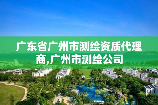 廣東省廣州市測繪資質代理商,廣州市測繪公司