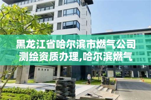 黑龍江省哈爾濱市燃?xì)夤緶y(cè)繪資質(zhì)辦理,哈爾濱燃?xì)鈾z測(cè)