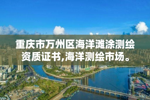 重慶市萬州區海洋灘涂測繪資質證書,海洋測繪市場。