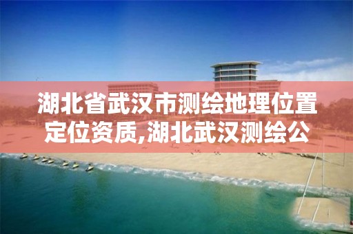 湖北省武漢市測繪地理位置定位資質,湖北武漢測繪公司排行榜