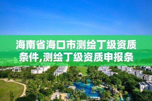 海南省海口市測繪丁級資質條件,測繪丁級資質申報條件