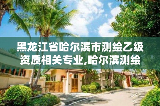 黑龍江省哈爾濱市測繪乙級資質相關專業,哈爾濱測繪有限公司