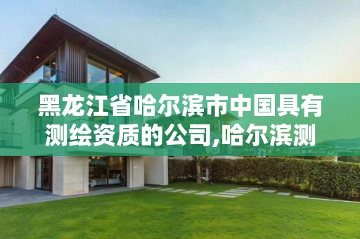 黑龍江省哈爾濱市中國具有測繪資質的公司,哈爾濱測繪內業招聘信息