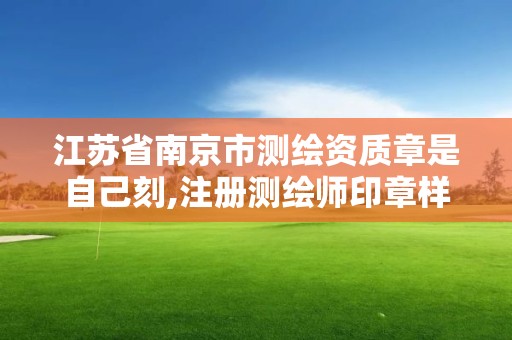 江蘇省南京市測繪資質章是自己刻,注冊測繪師印章樣式