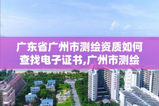 廣東省廣州市測繪資質如何查找電子證書,廣州市測繪產品質量檢驗中心