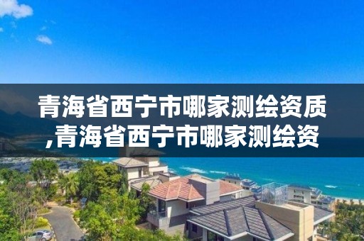 青海省西寧市哪家測繪資質,青海省西寧市哪家測繪資質公司最好